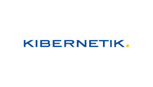 kibernetic